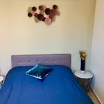 梅耶皮尔沙滩酒店 尼斯